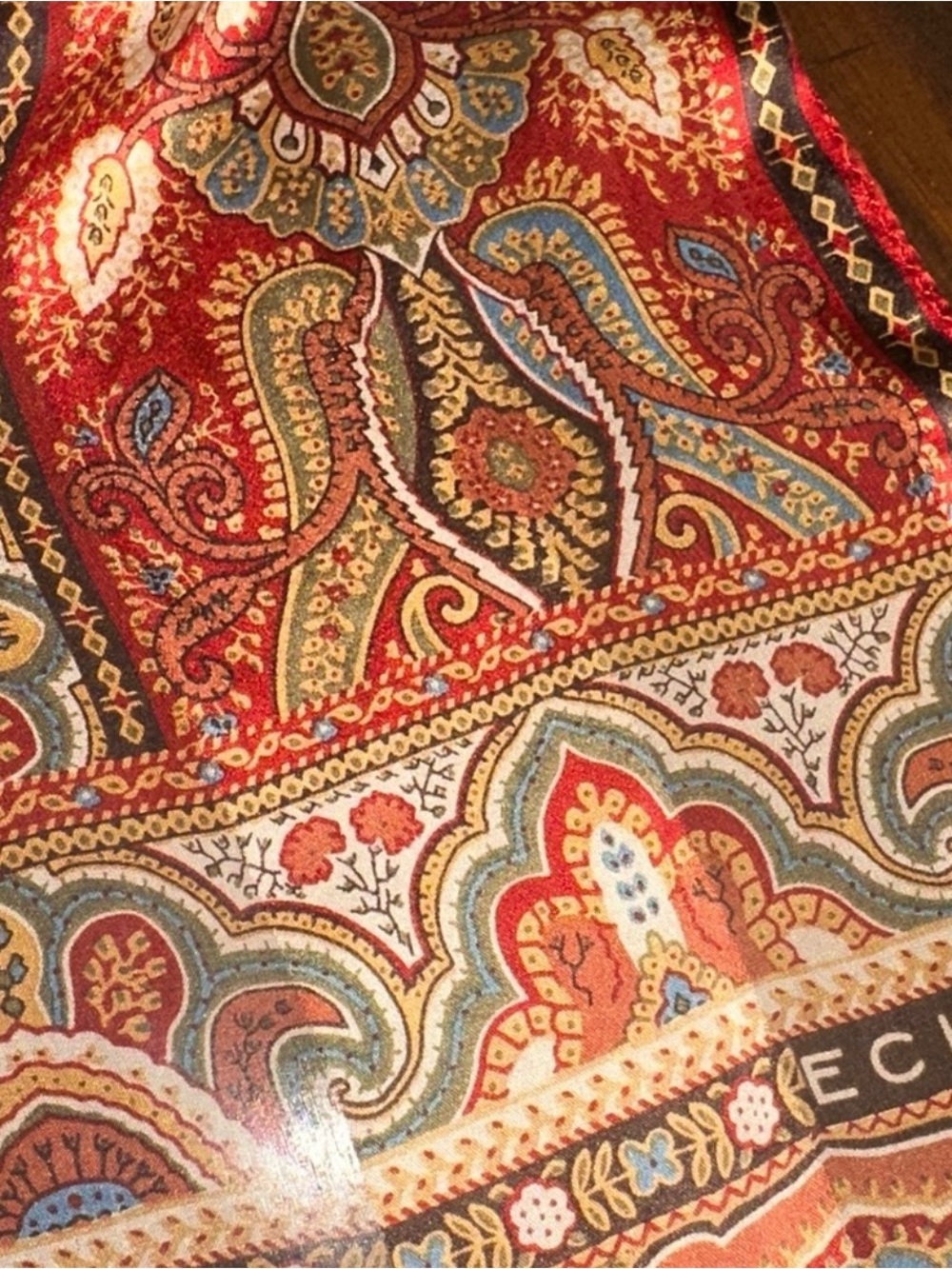 Beautiful Paisley Scarf in Autumn Colors by Echo - Picture 4 of 4